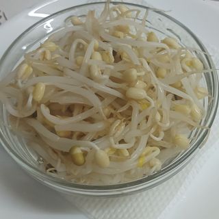 441 Соеви кълнове (100 гр.)