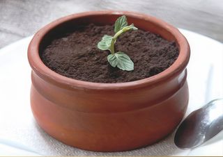 Чийзкейк с боровинки (160гр)