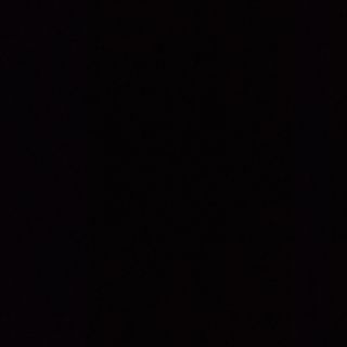 Свински джолан, поднесен на саче (350гр)