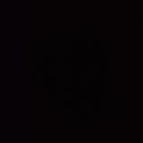 Запечена пилешка пържола с моцарела (450гр)