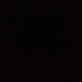 Пушен паламуд (50гр)