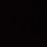 Панирани броколи с чеснов сос (300гр)