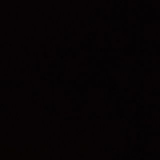 Панирани броколи с чеснов сос (300гр)