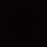 Пилешко шишче от филе (140гр)