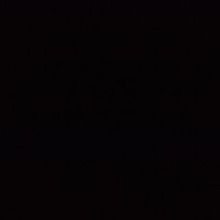 Пилешко шишче от филе (140гр)