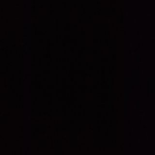 Гъби в масло (200гр)