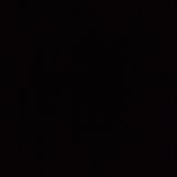 Свинско блюдо (1кг)