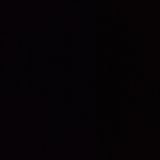 Свинско шишче (140гр)