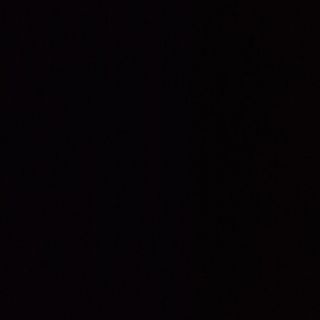 Свинско шишче (140гр)