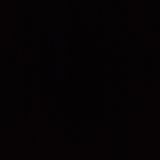 Пилешки шашлък (400гр)