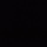 Пушена сьомга (50гр)