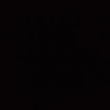 Пържено шаранче (250гр)