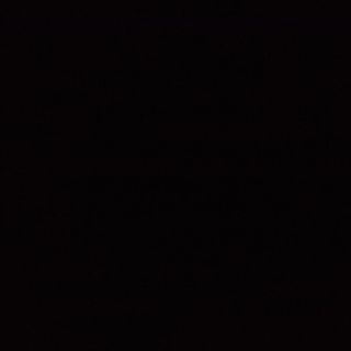 Пържено шаранче (250гр)