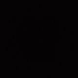 Свински ребърца (300гр)