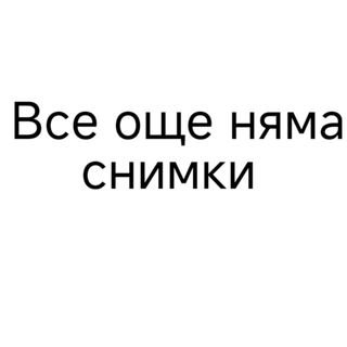 28. Пържен ориз с яйца и зеленчуци (450гр)