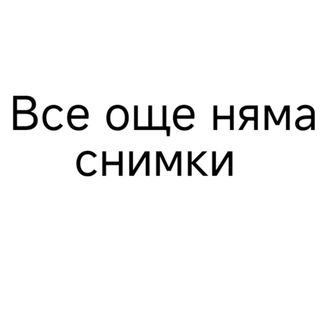 34. Пържен ориз с пиле и зеленчуци (450гр)