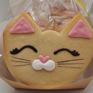 Коте- бисквита
