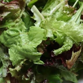 Зелена салата (100г)