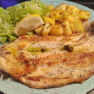 ПЪСТЪРВА НА ПЛОЧА