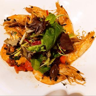 УЗО СКАРИДИ