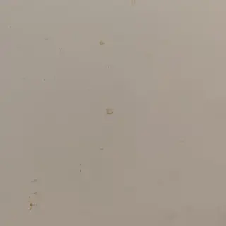 Айрян Слънце голям