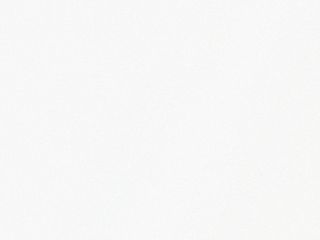 Ципура (1бр)