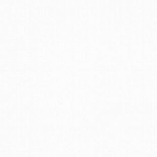 Пържен шаран (350гр)