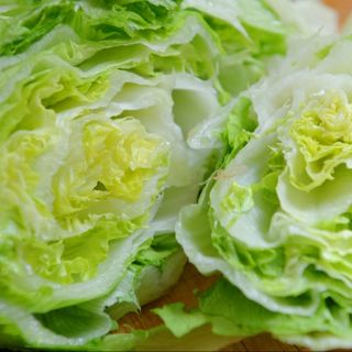 Зелена салата