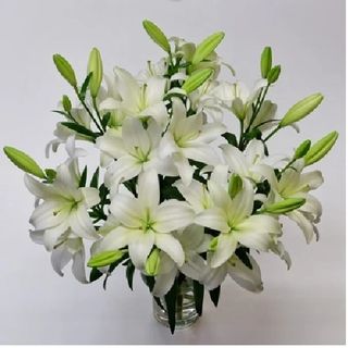 11  Лилиума бели