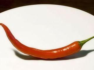 Люто чушле (1бр)