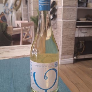 Ямантиев Ивайловград сов. блан (750мл)