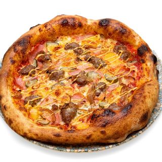 Блек Ангъс (45см)