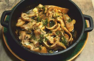 Уши на тиган (350г)