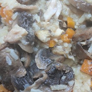 ПИЛЕШКО С ОРИЗ И ГЪБИ 0.350ГР