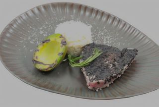 Стек риба тон