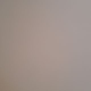 Бурата Белисима