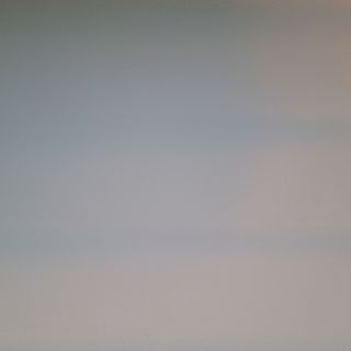 Калмар на плоча