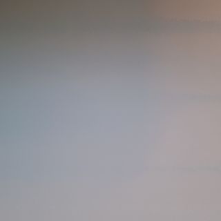 Скариди приготвени на тиган