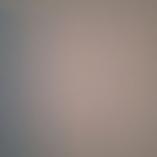 Говежди език (350г)