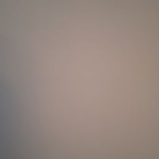 Бургер дърпано свинско