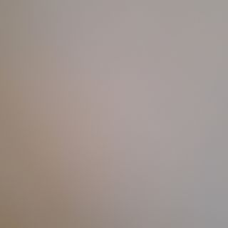 Пиле Шандон