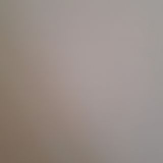 Пилешка пържола от бут на BBQ