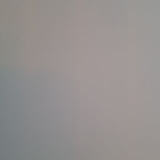 Филе от див лаврак