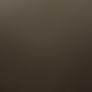 76. Пилешко Гансу на плоча (500г)