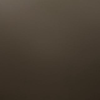 81.Свинско пържено със зеленчуци (600г)