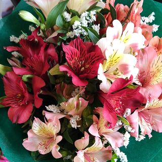 Букет с пъстри алстромерии