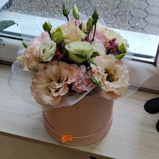 Кутия с еустоми 1