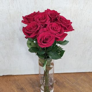 Седем рози с панделка