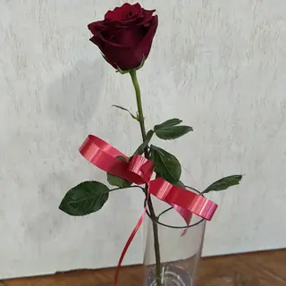 Роза с панделка
