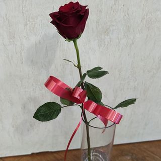 Роза с панделка